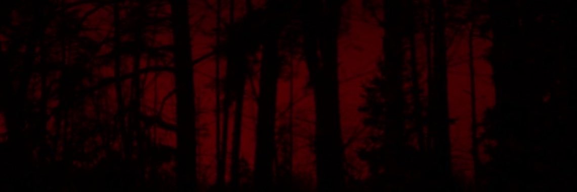 sleeepynami's profile banner image