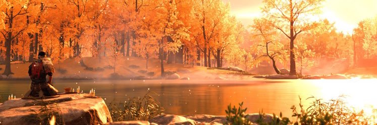 N8sBored banner