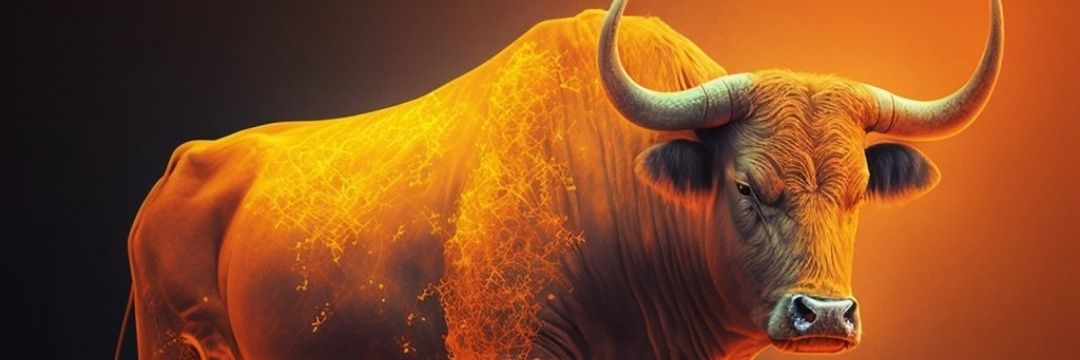 captainbtctrade's profile banner image