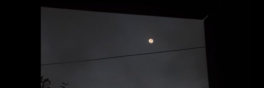 Nada Albeladi banner