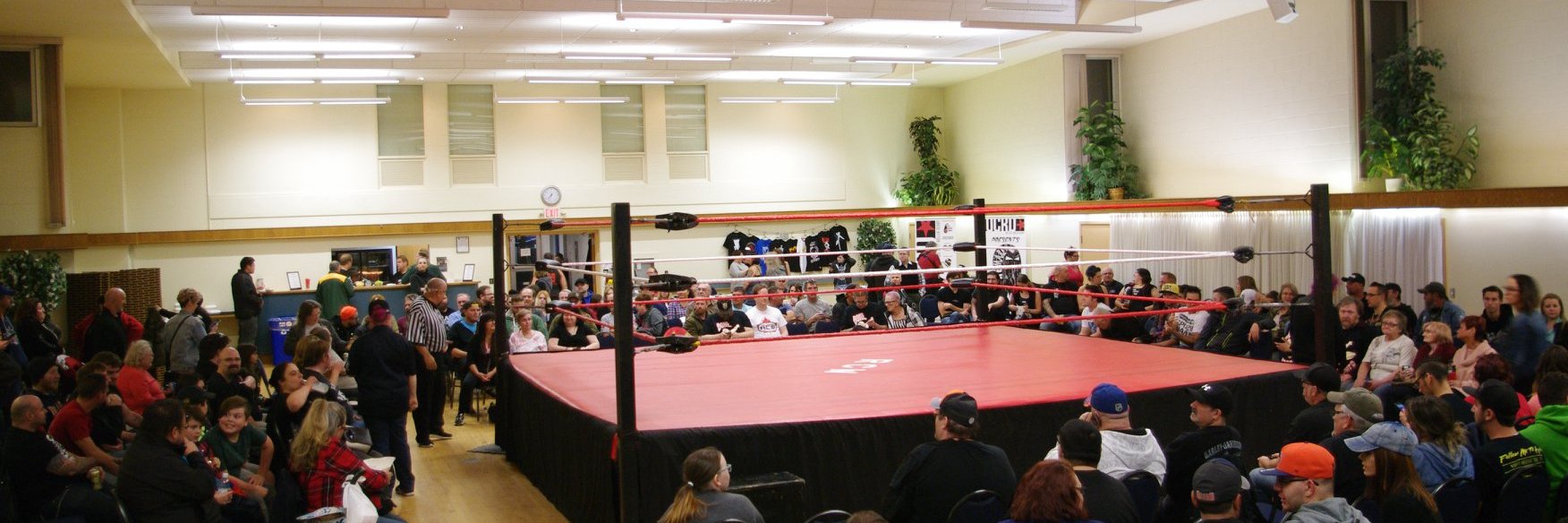 rcw_wrestle's profile banner image