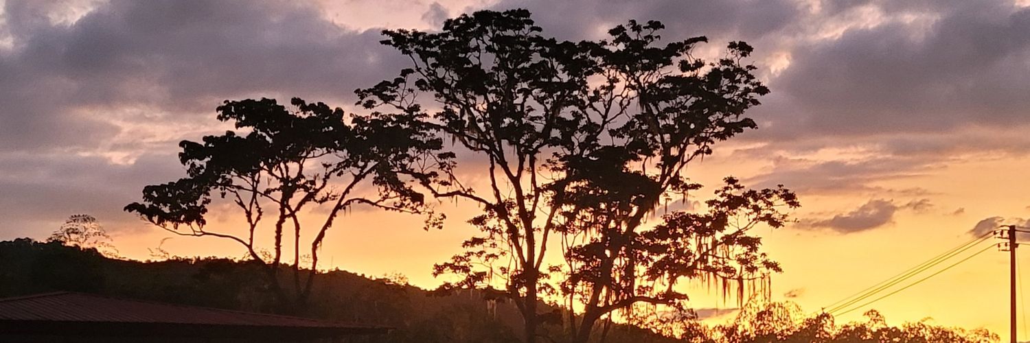 GermansSuarez's profile banner image