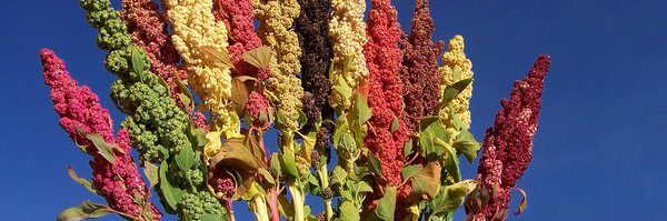 AnnTutwiler Profile Banner