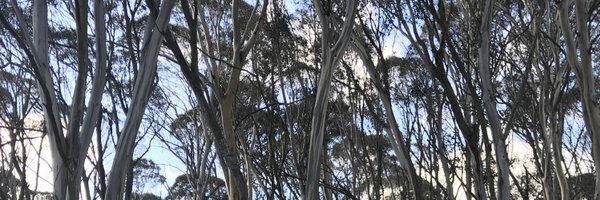 CraigUnderhill Profile Banner
