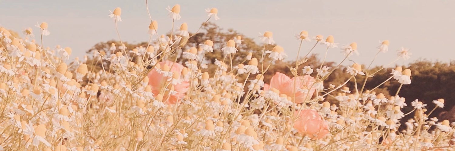 ぺろ banner