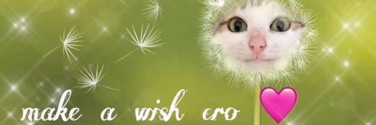 Bird (Very Busy‼️‼️) banner