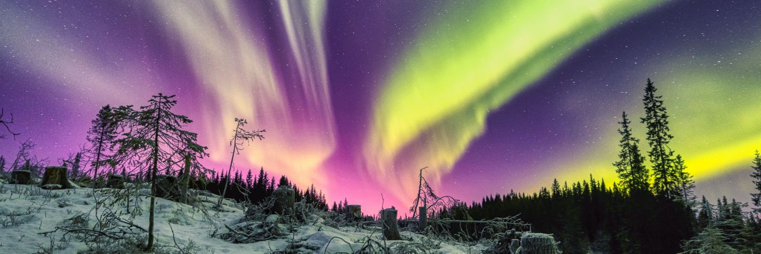 Crypto.Aurora banner