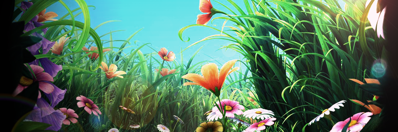 Pixie Vacations banner
