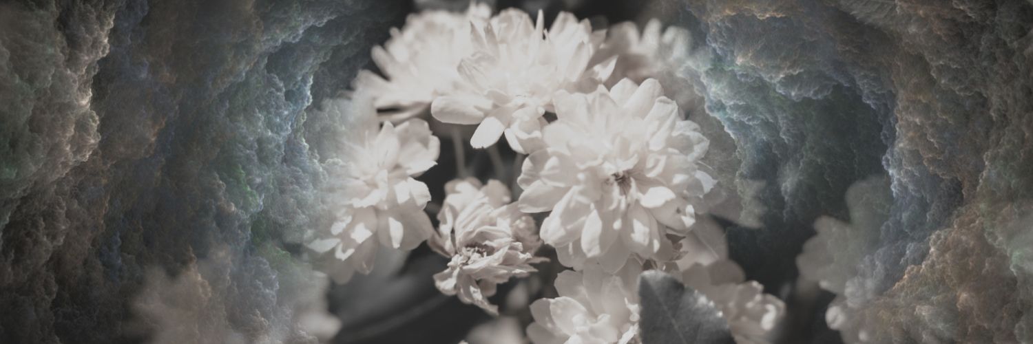 ᅠᅠ ᅠᅠ Ꭰ𝗶𝗹𝗶𝗴𝗲𝗻𝗰𝗲。 banner