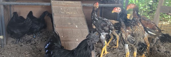 trudyk11 Profile Banner