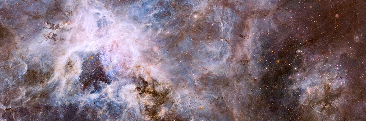 AlexiaJermo's profile banner image