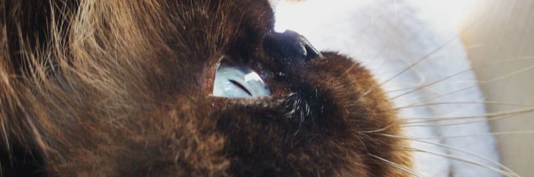 Conty_J's profile banner image