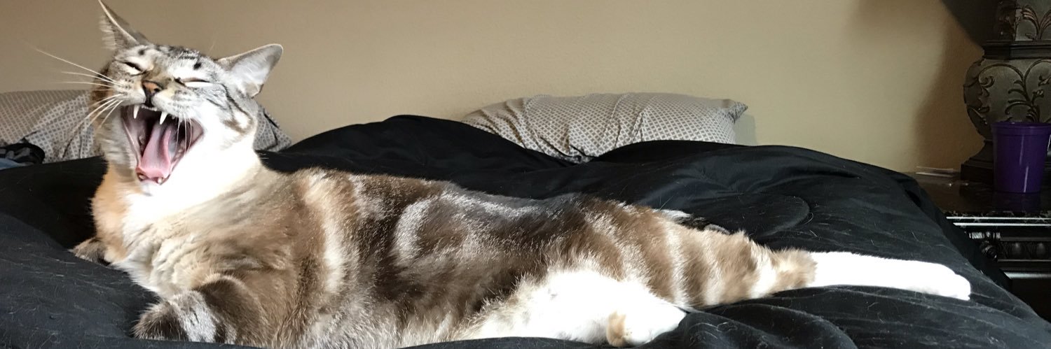 graceeposey's profile banner image