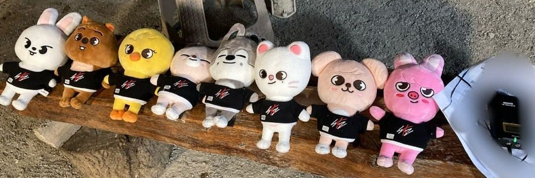 dulskz's profile banner image
