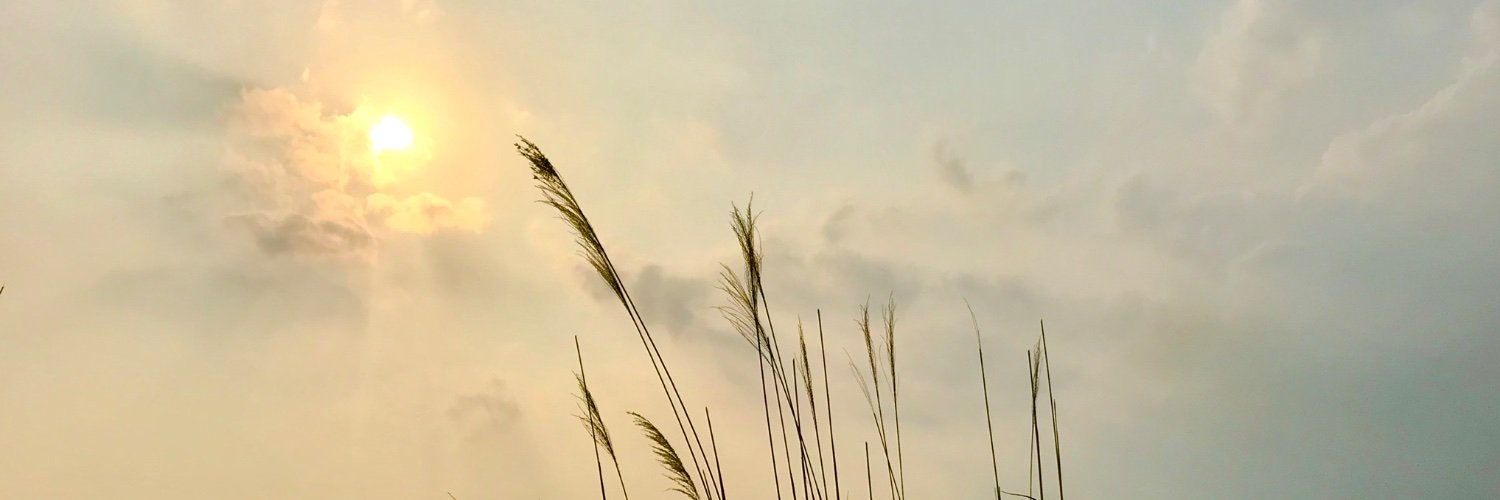 cheucheutrain's profile banner image
