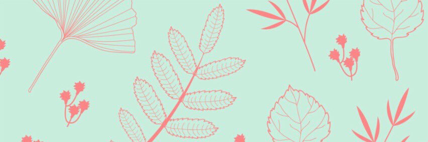akane416's profile banner image