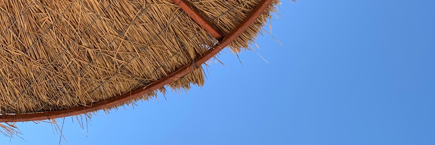 Zangieff banner