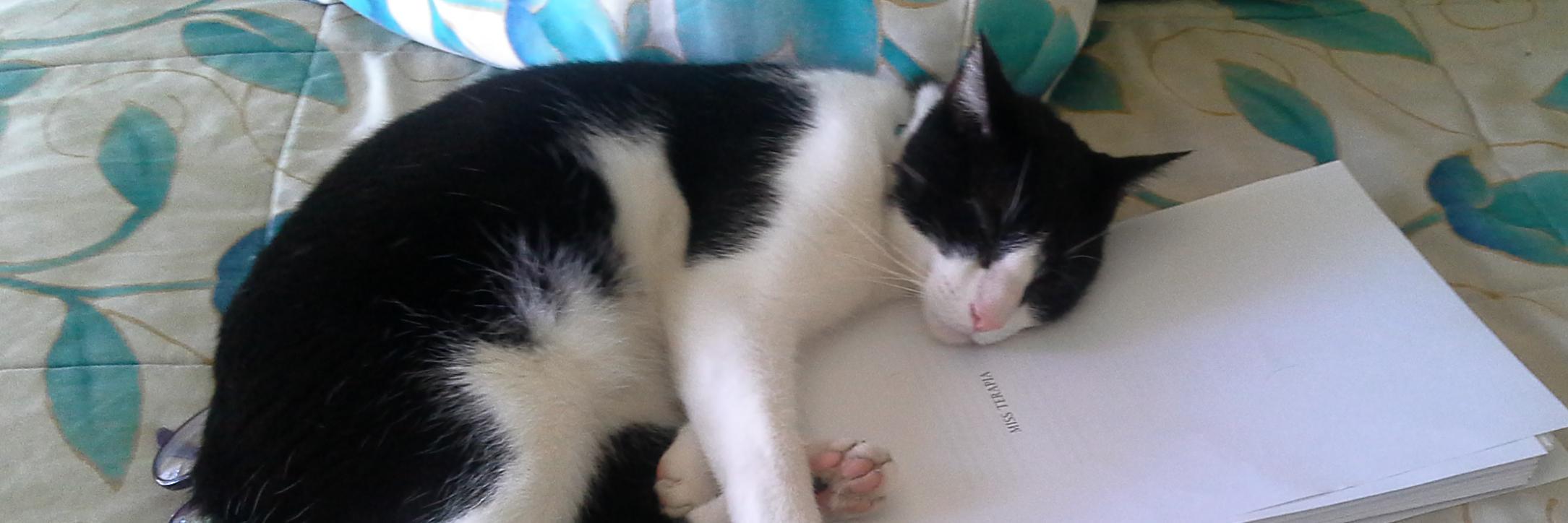 valeria tanco banner