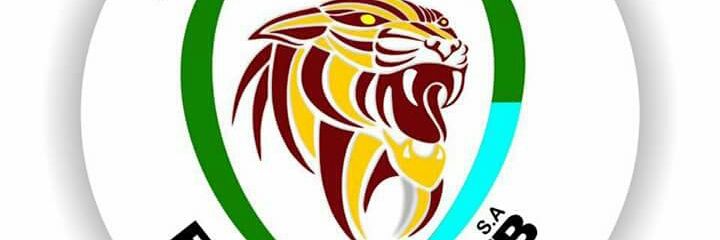WALDYRIVAS's profile banner image
