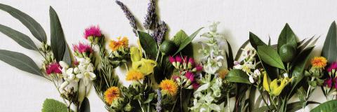 SalonSecretsSpa's profile banner image