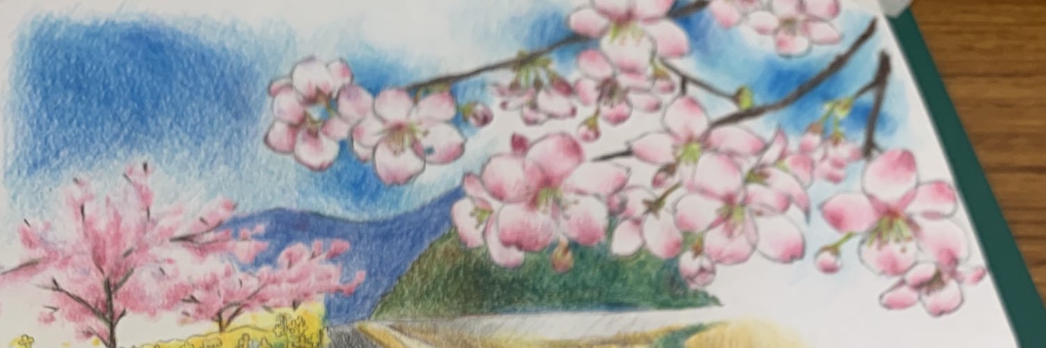 gull_N's profile banner image