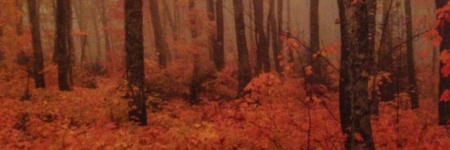 IanSBronson's profile banner image