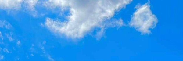 Cozila3 Profile Banner