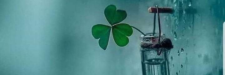 ZeydAmr's profile banner image