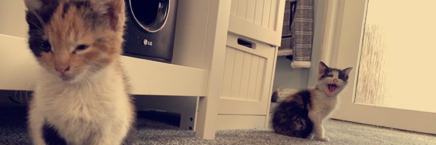 LucyGriffiths8's profile banner image