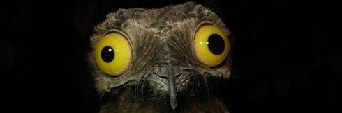 theillustriousE's profile banner image