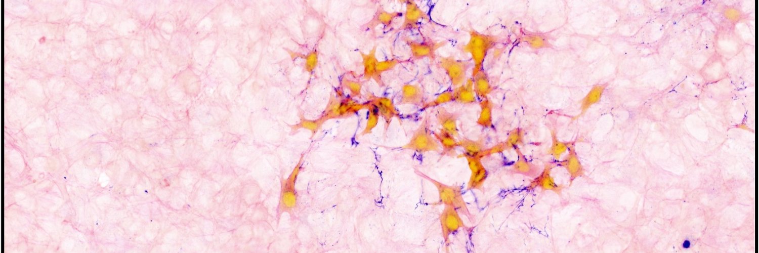 MontagnerLab's banner
