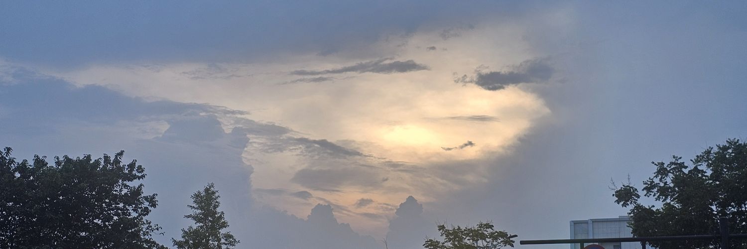 palapala5485's profile banner image