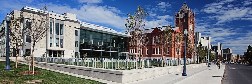 Smith Insight banner