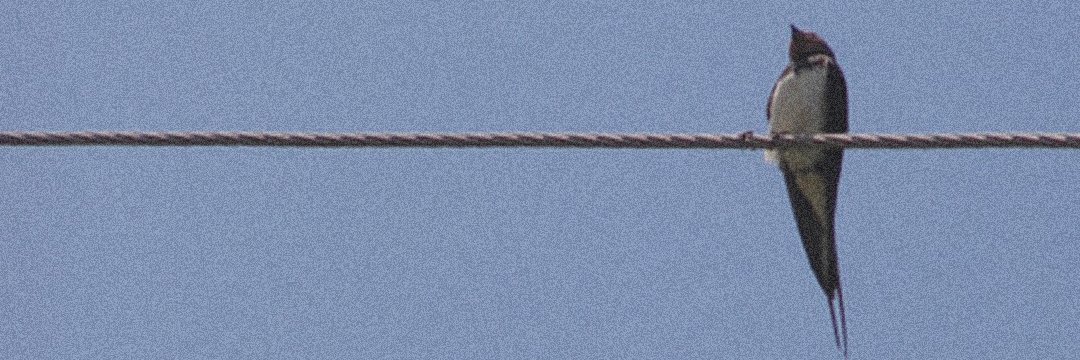 NXGHTRYDE banner