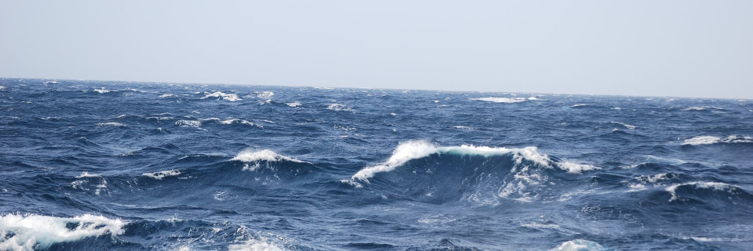 MicroplastiX project banner