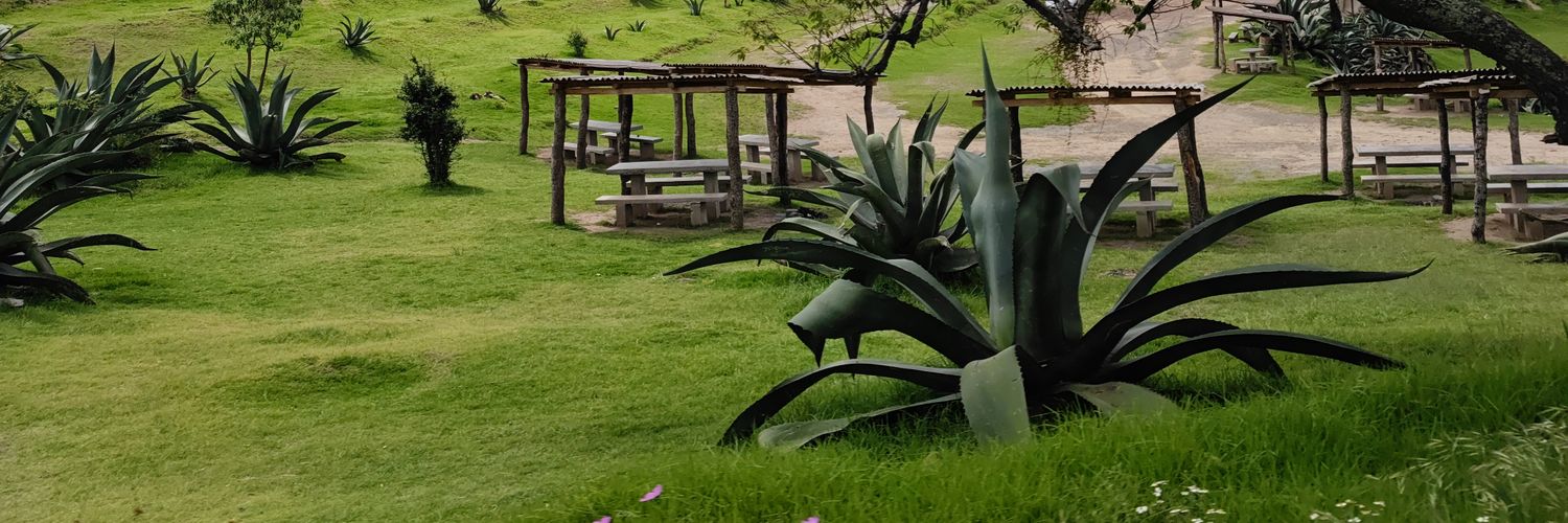 vitorcitolily's profile banner image