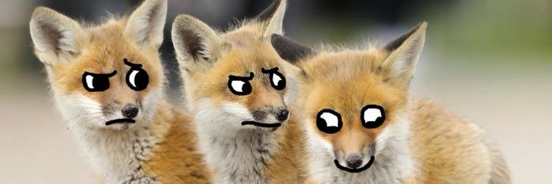 TehScarletFox's profile banner image