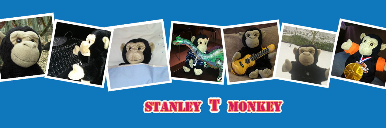 StanleyTMonkey's profile banner image