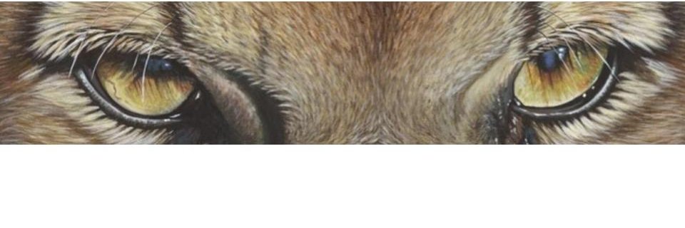 Croatan High School banner