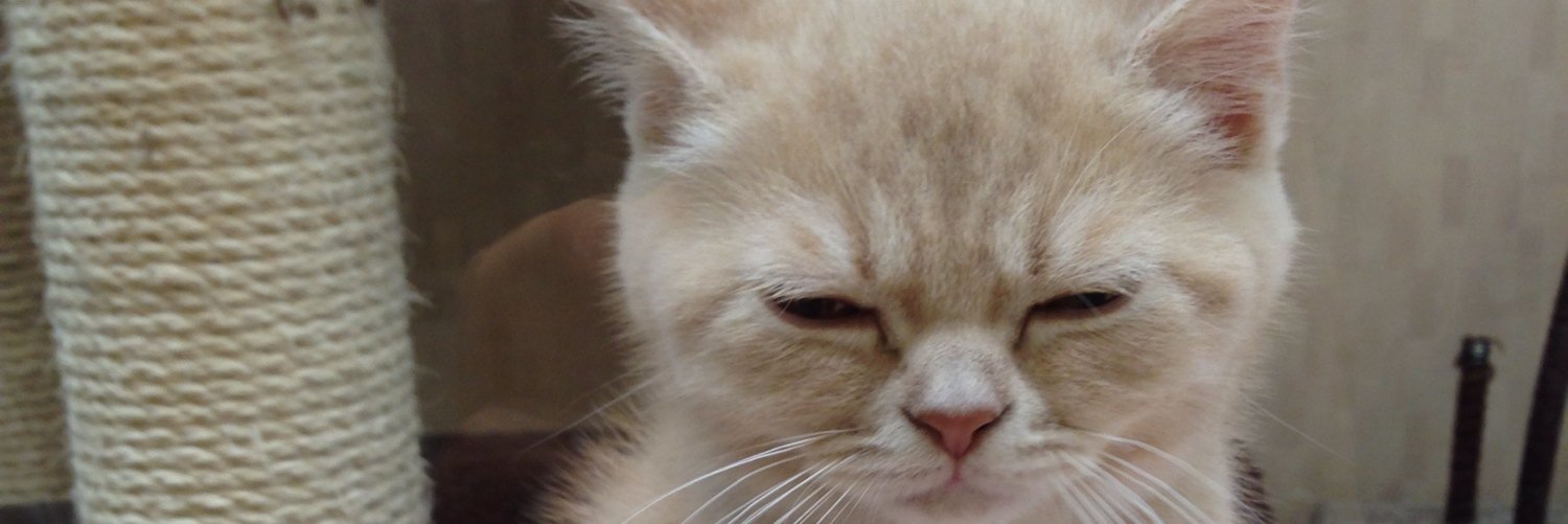 tmm_63's profile banner image