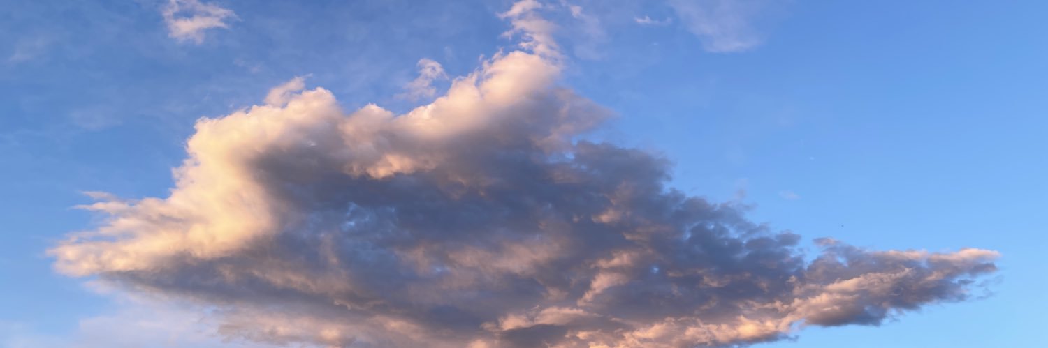 エリエデル banner