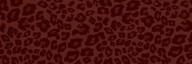 brendactonin's profile banner image