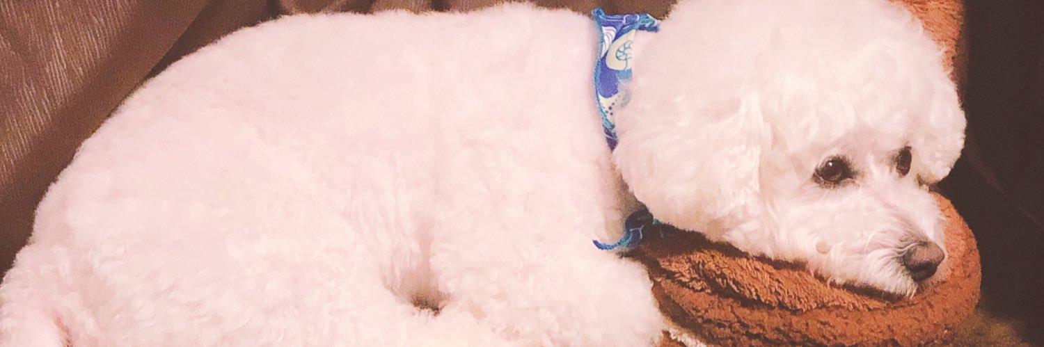 mitcho_0407's profile banner image