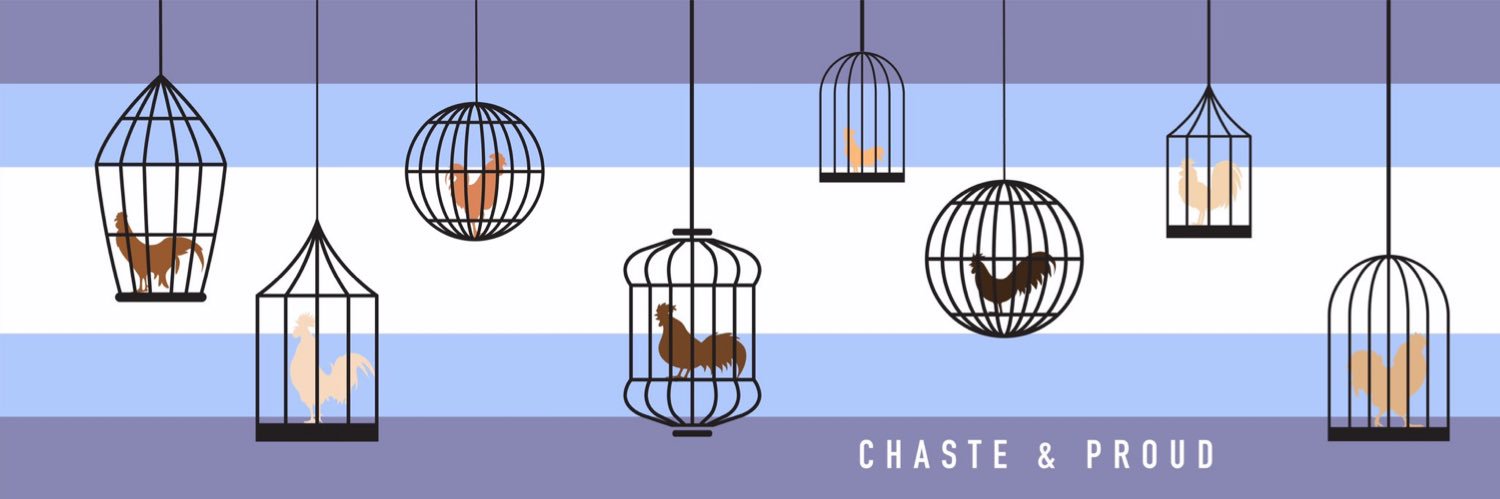 ⛓️chasteAddict~Los Angeles banner