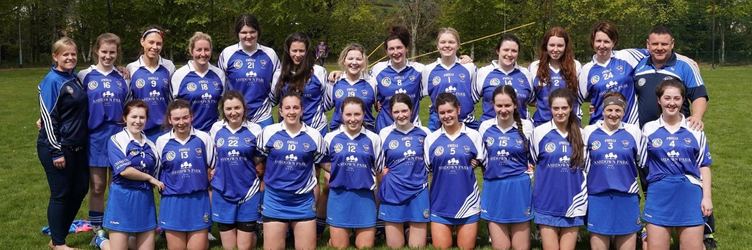 Craanford Monaseed Camogie Club banner