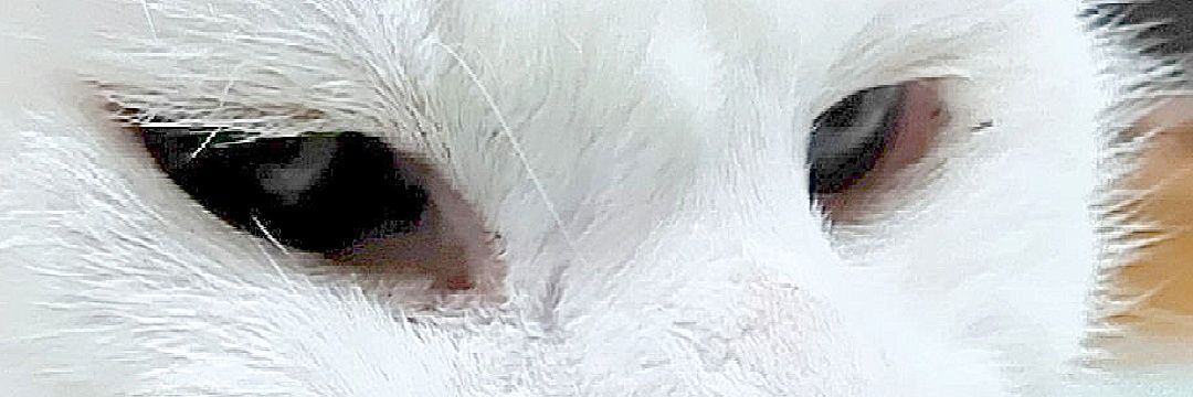 白ご飯をパクっとのりたま😎🫰✨ banner