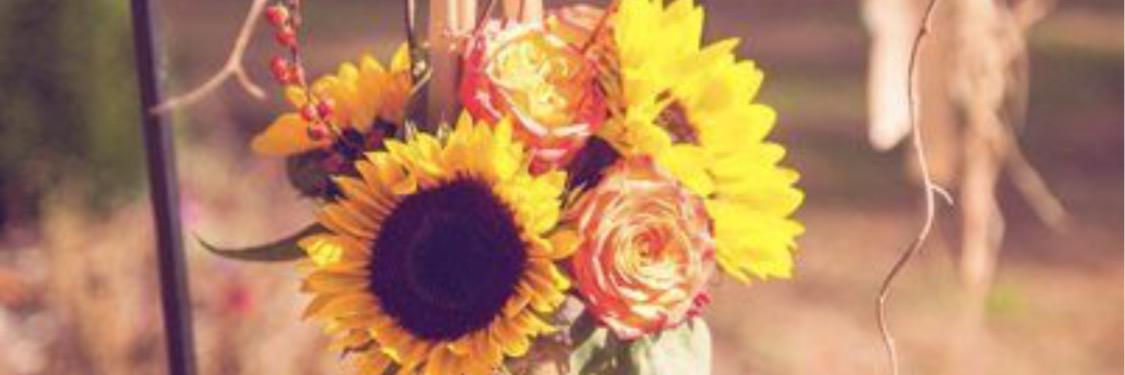 haleymclean's profile banner image