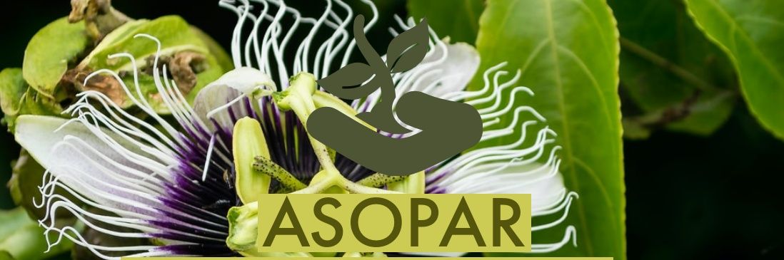 asopar20's profile banner image
