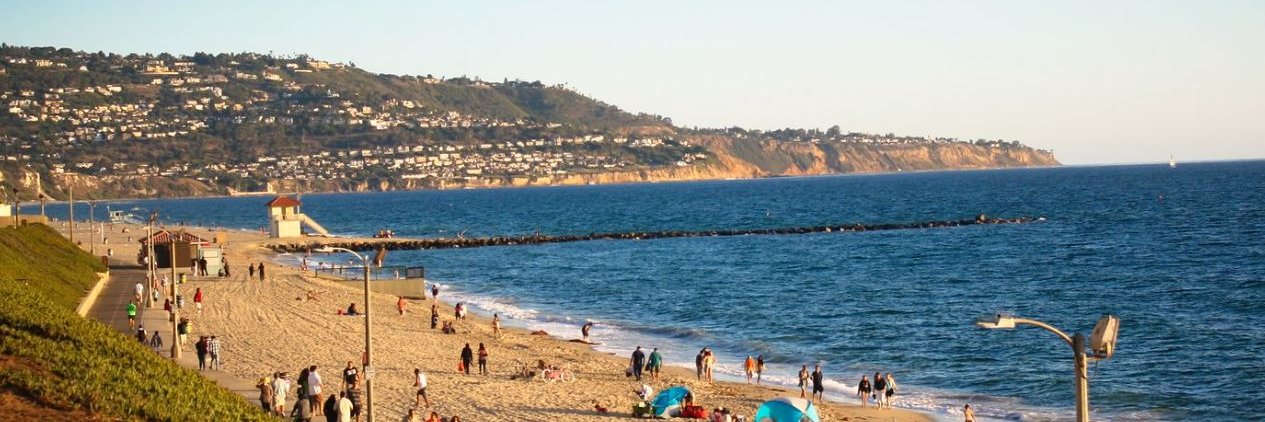 SoCal Conservative banner