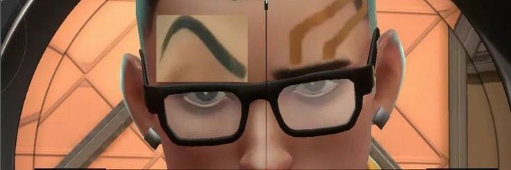 L banner